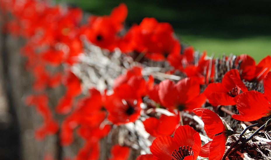 Wall of Remembrance - Anzac Day 2018 RSL Care SA